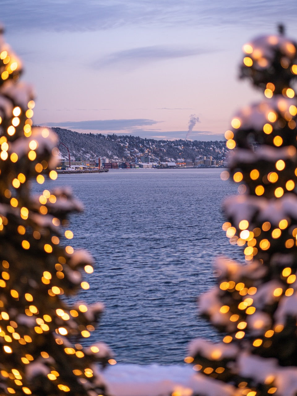 Mini-Cruise zum Weihnachtsmarkt in Oslo 6.-10.12.2025
