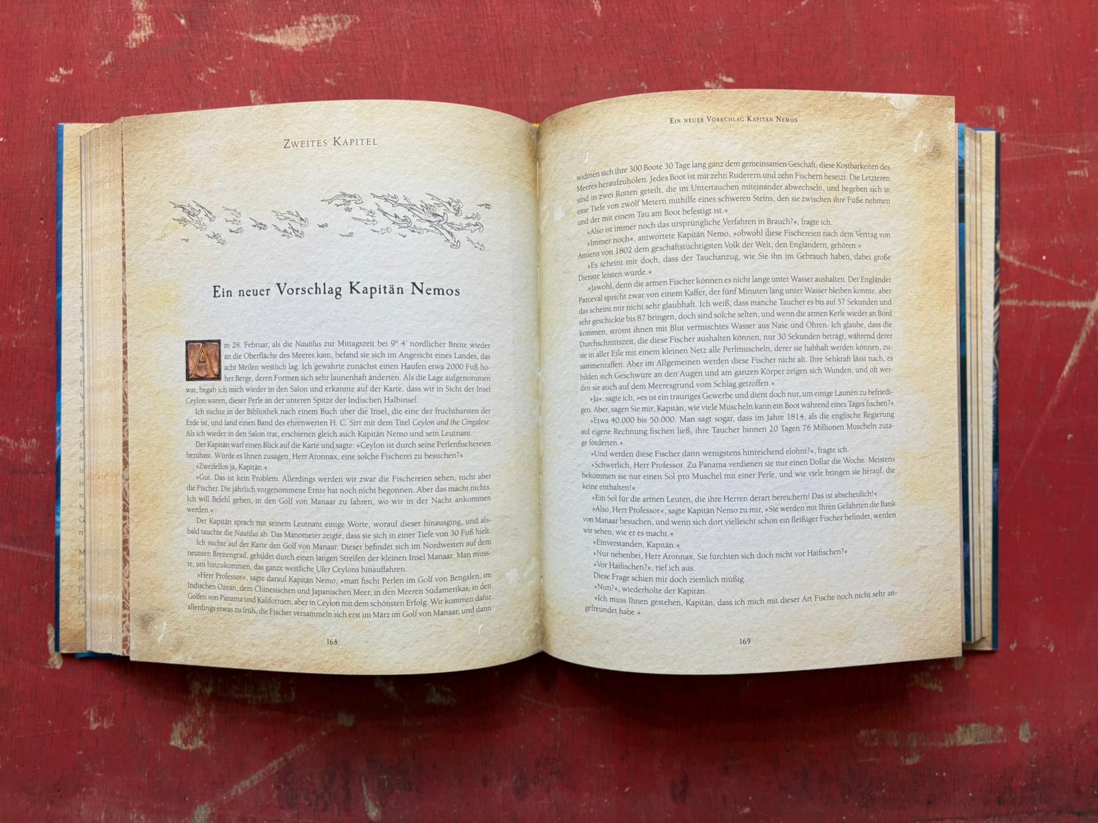 20.000 Meilen unter dem Meer - illustriertes Kinderbuch