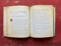 20.000 Meilen unter dem Meer - illustriertes Kinderbuch