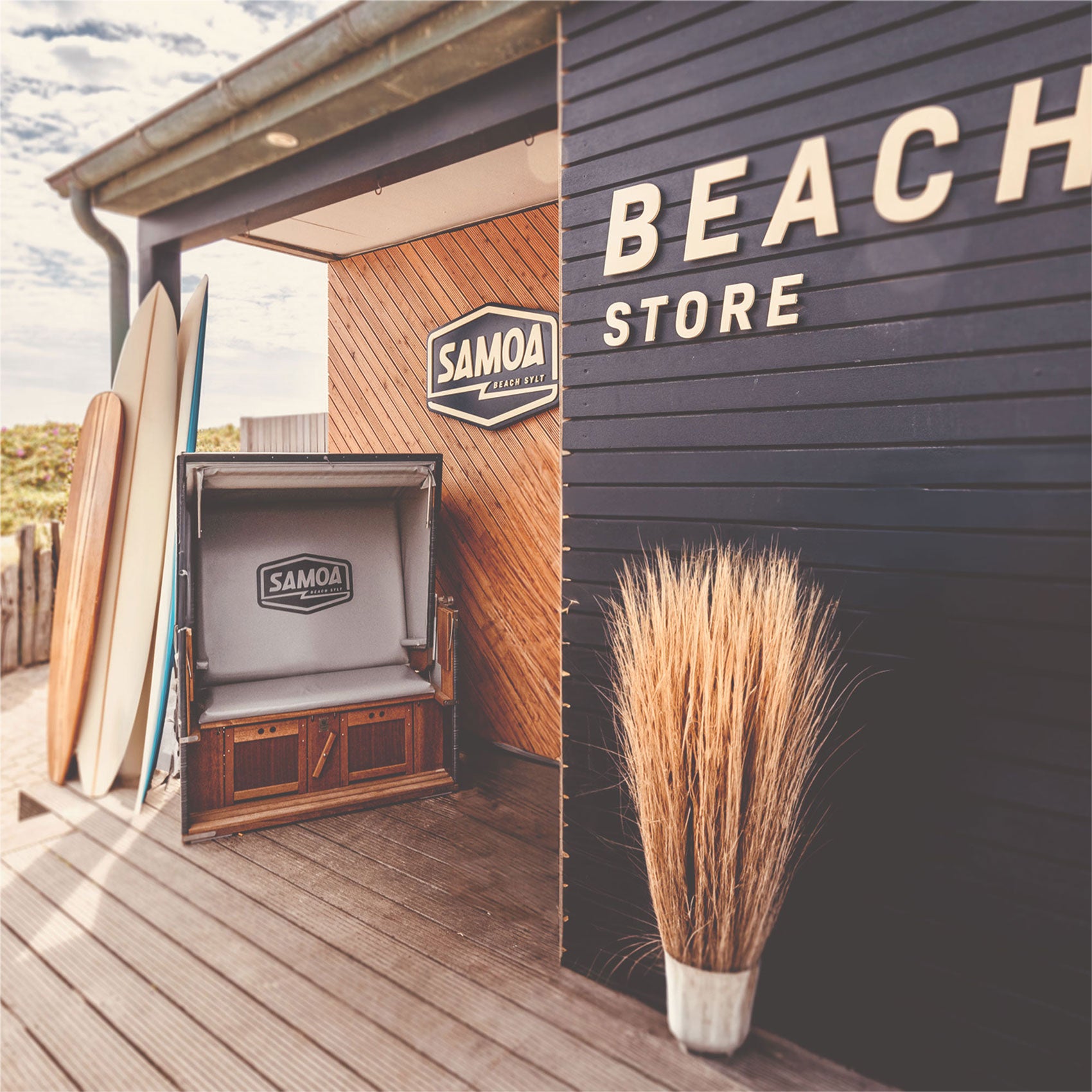 Samoa Seepferdchen - Kümmel