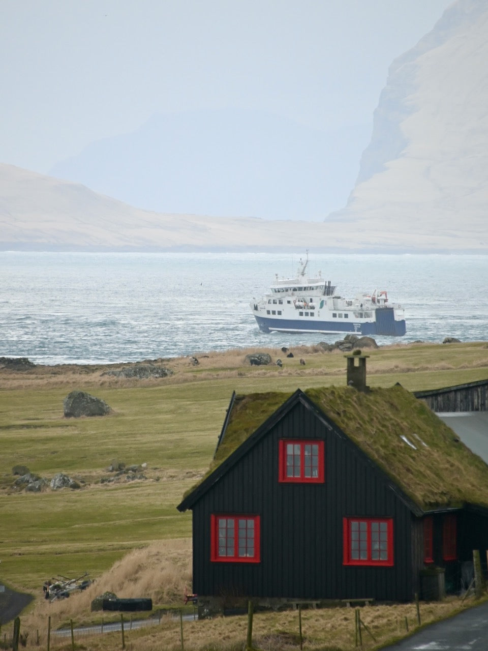 SKUA-TOUR November 2024 - Mit dem Schiff nach Island