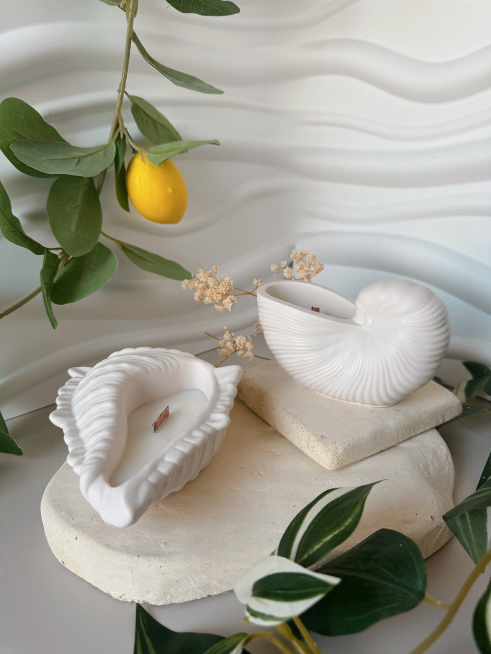 Muschelschale mit Duftkerze
