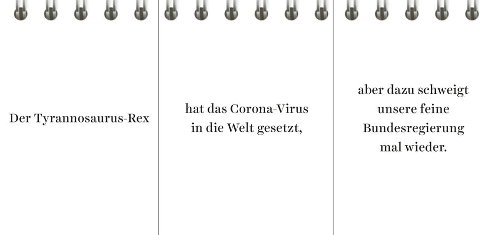 Der Desinformator - 125.000 Verschwörungstheorien zum Selbermachen - Ankerherz Verlag
