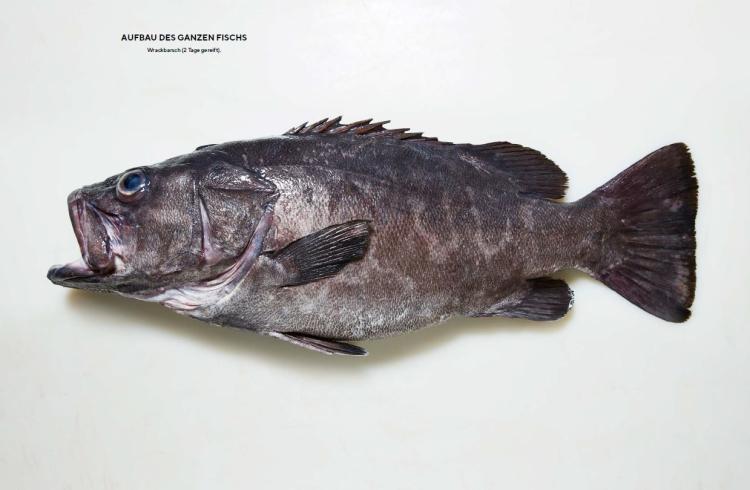 Der ganze Fisch - Rezepte von der Flosse bis zur Kieme