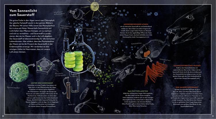 Eine Reise in die geheimnisvolle Tiefsee