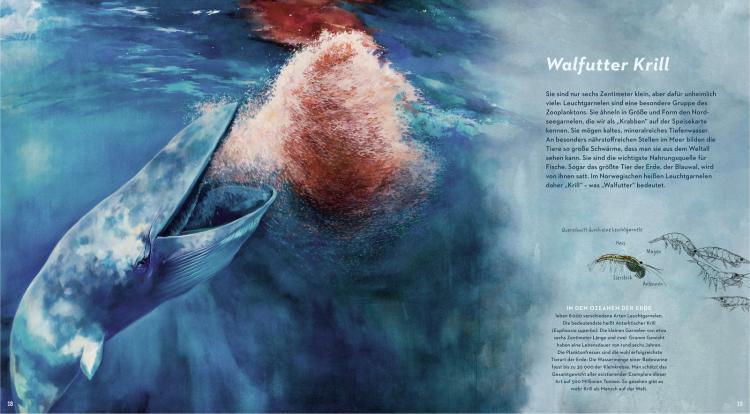 Eine Reise in die geheimnisvolle Tiefsee