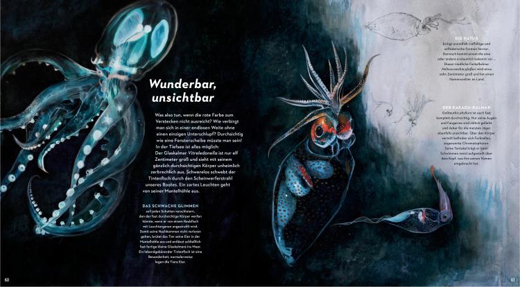 Eine Reise in die geheimnisvolle Tiefsee