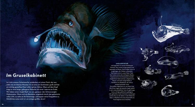 Eine Reise in die geheimnisvolle Tiefsee