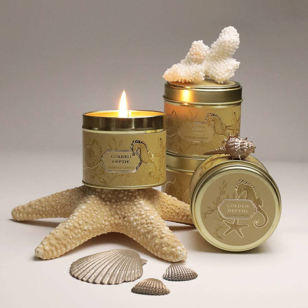 Cream Cornwall Golden Depths Kerze – Lifestyle-Aufnahme mit Muscheln und geöffneter goldener Dose
