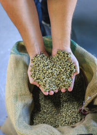 Brady's Coffee Skellig Island – gemahlener Kaffee für Cafètière und Pour Over