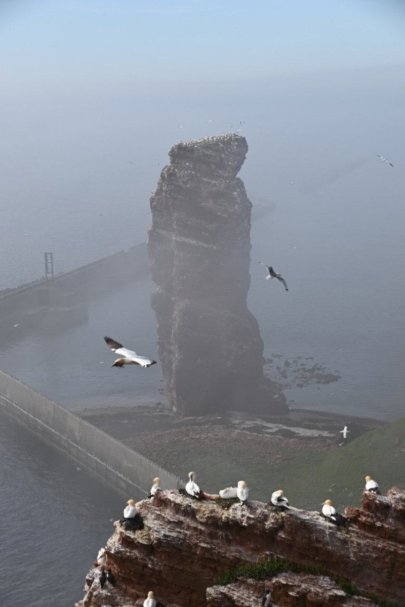 Helgoland-Tour mit Bootsausflug - 25. Mai 2024 - Ankerherz Verlag