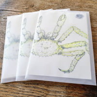 Postkarte Alaska Königskrabbe - Ankerherz Verlag