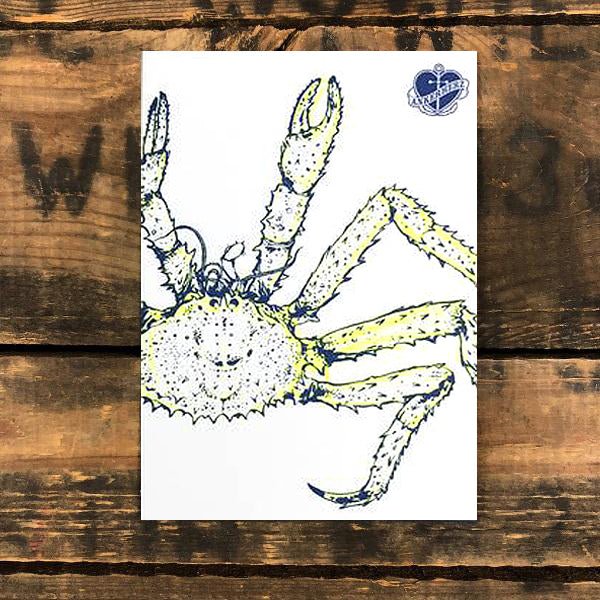 Postkarte Alaska Königskrabbe - Ankerherz Verlag