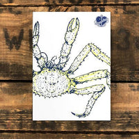 Postkarte Alaska Königskrabbe - Ankerherz Verlag