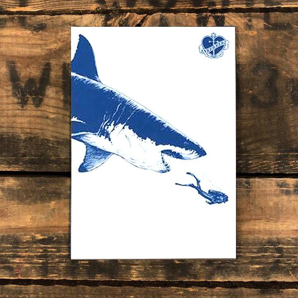 Postkarte Hai mit Taucher - Ankerherz Verlag