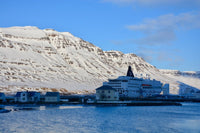 SKUA-TOUR November 2024 - Mit dem Schiff nach Island - Ankerherz Verlag