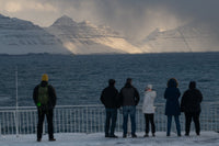 SKUA-TOUR November 2024 - Mit dem Schiff nach Island - Ankerherz Verlag