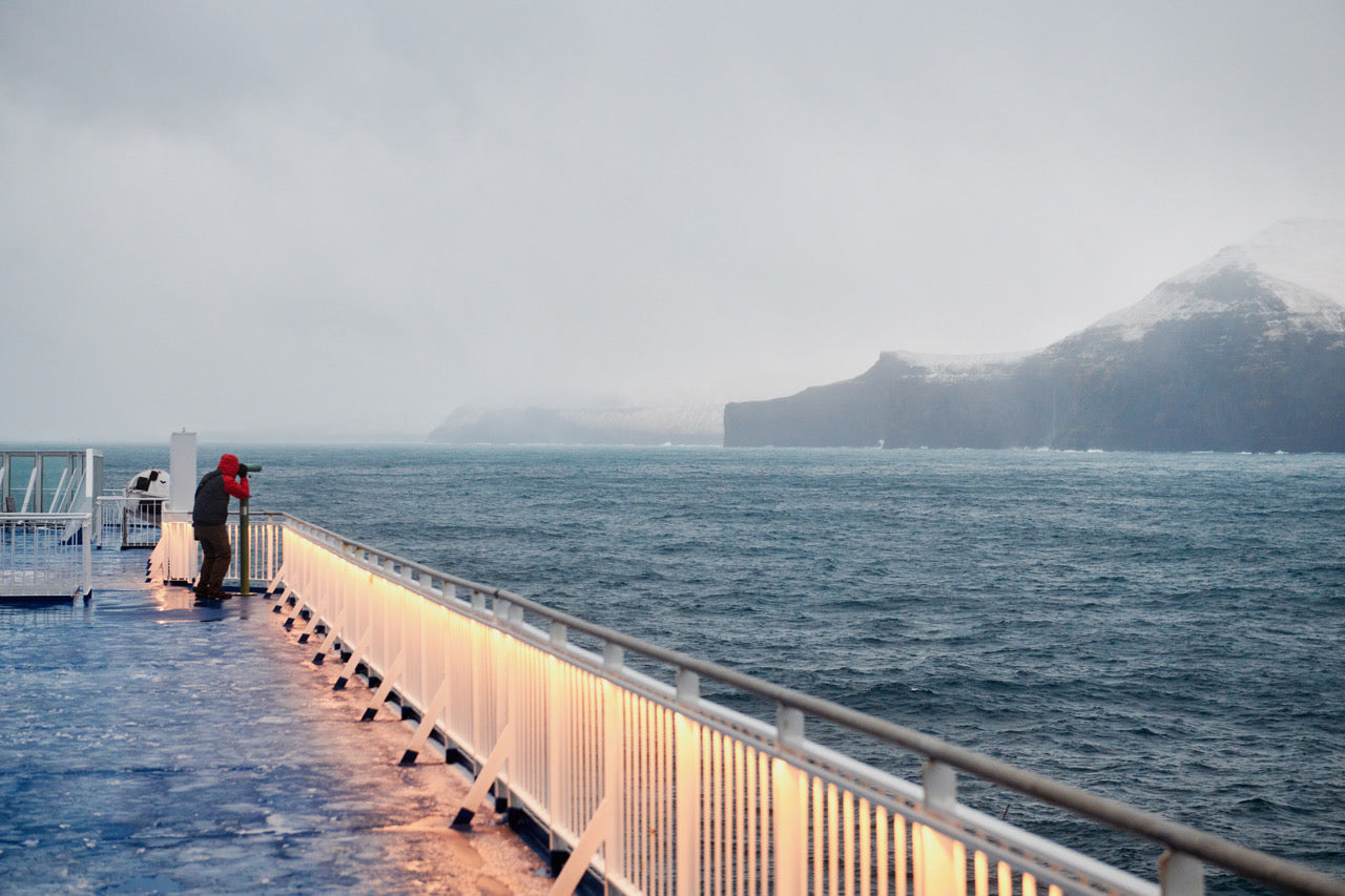DIE SKUA TOUR 2022 - Mit dem Schiff nach Island | ankerherz.de