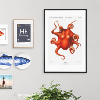 Kunstdruck Oktopus | ankerherz.de
