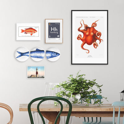 Poster Oktopus 50x70