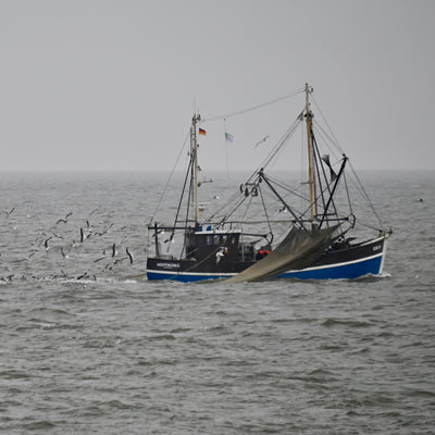 Spucktüten-Tour nach Helgoland, Samstag 23. September